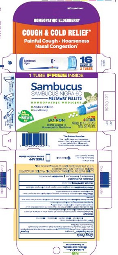 Sambucus Nigra 6c Bonus Pack 6896215 07.2020